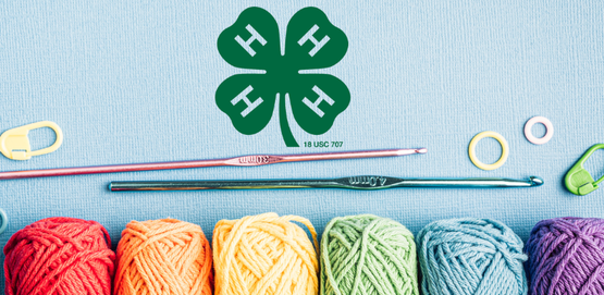Learn to crochet!
