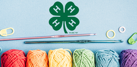Learn to crochet!