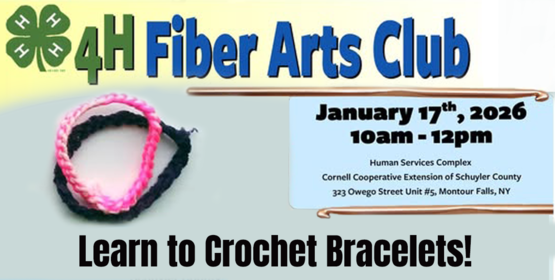 Fiber Arts Jan 17