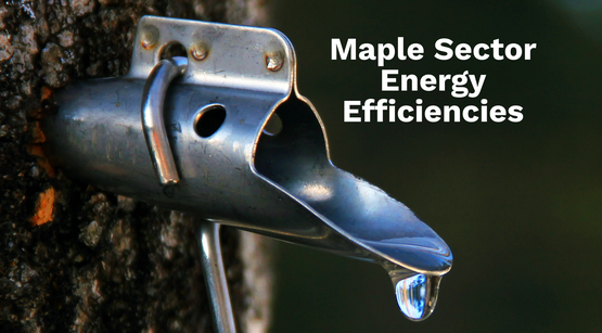 Maple Sector Energy Efficiencies Webinar