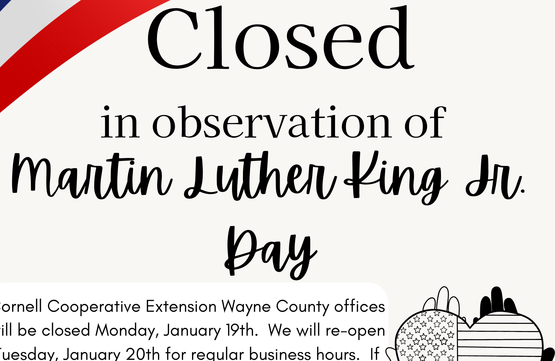 CLOSED for MLK Jr. Day