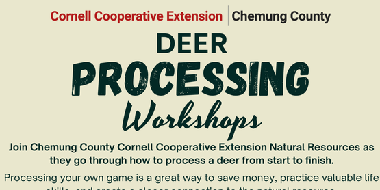 Deer Processing Workshop - 2026