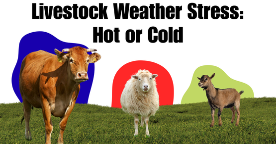 BANNER Livestock Stress