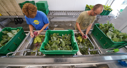 postharvest workshop header