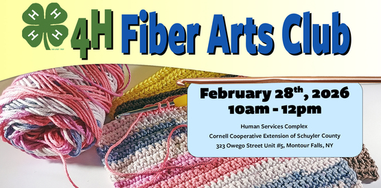 4-H Fiber Arts Banner
