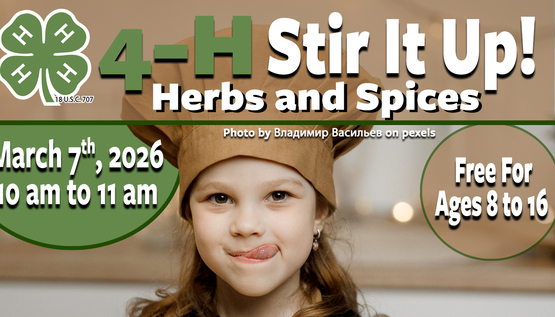 4-H Stir It Up Banner