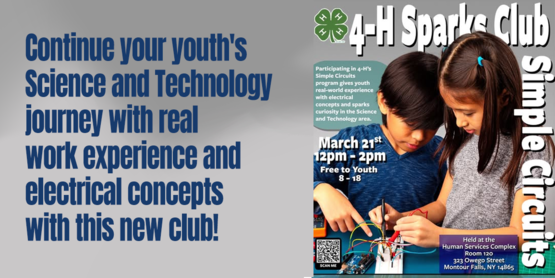 Sparks Club Simple Circuits