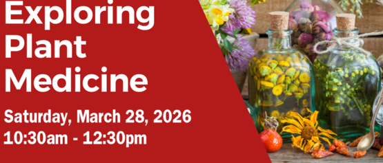 Exploring Plant Meds