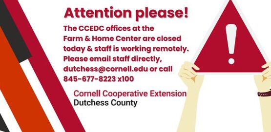 office closed staff remote 02252026