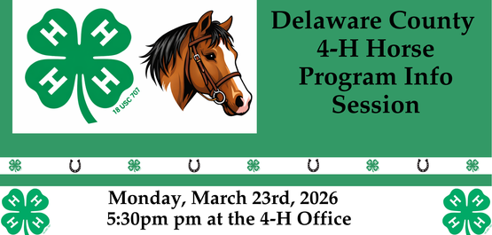 4-H Horse