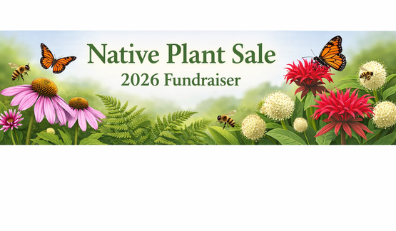 Plant Sale Fundraiser
