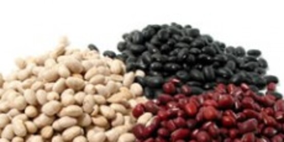 dry beans