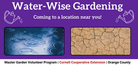 Water-Wise Gardening
Coming to a location near you!