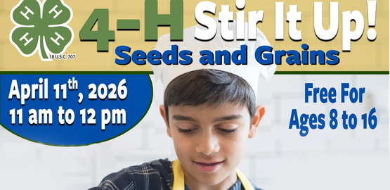 Seeds and Grains larger banner