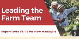 Leading the Farm Team