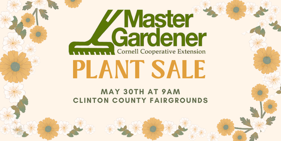 MGV Plantsale