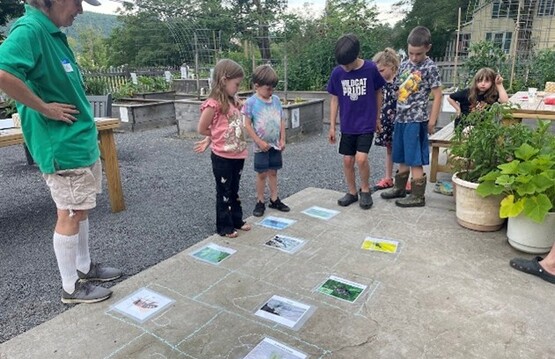 Family Gardening 2