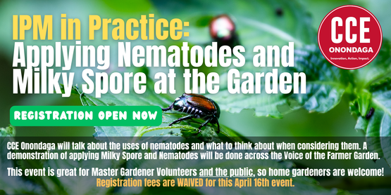 milky spore and nemo