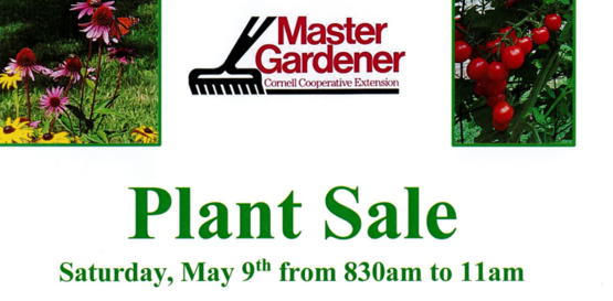 Plants are from Master Gardeners’ private collections and local nurseries… vegetables, herbs, perennials, annuals, and woody plants priced to sell quickly. Quantities are limited and not intended for resale.
