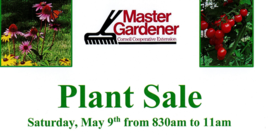 Plants are from Master Gardeners’ private collections and local nurseries… vegetables, herbs, perennials, annuals, and woody plants priced to sell quickly. Quantities are limited and not intended for resale.