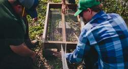 People air pruning saplings