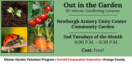 Out in the Garden
30-minute Gardening Lessons
Newburgh Armory Unity Center Community Garden
2nd Tuesdays of the Month
6:00 P.M. - 6:30 P.M.
Cost: Free!