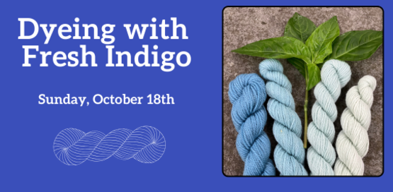Dyeing with Fresh Indigo
Sunday, October 18th