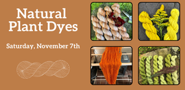 Natural Plant Dyes
Saturday, November 7th