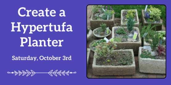 Create a Hypertufa Planter
Saturday, October 3rd