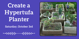 Create a Hypertufa Planter
Saturday, October 3rd