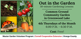 Out in the Garden
30-minute Gardening Lessons
Common Ground Community Garden in Greenwood Lake
4th Thursdays of the Month
6:00 P.M. - 6:30 P.M.