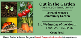 Out in the Garden
30-Minute Garden Lessons
Town of Monroe
Community Garden
3rd Wednesday of the Month
6:00 pm - 6:30 pm
Cost: FREE!