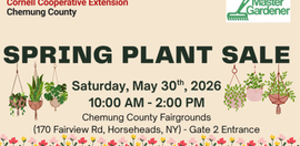Spring Plants Sale 2026
