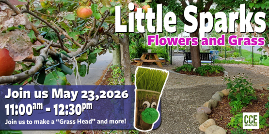 Little Sparks: Flowers and Grass Banner