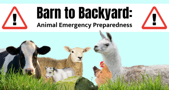 BANNER Barn to Backyard