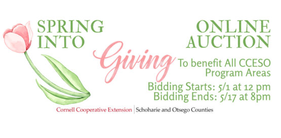 Spring Into Giving Online Auction