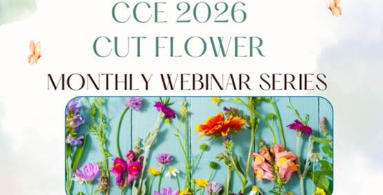 2026 CCE Cut Flower Series