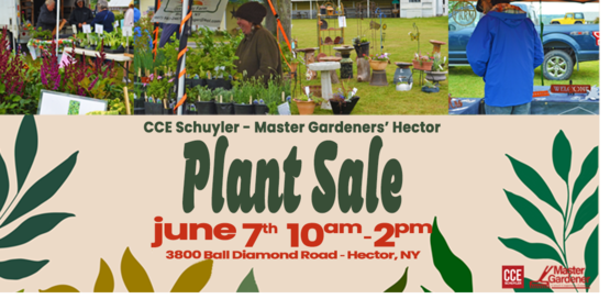 Hector Plant Sale 2026 Banner