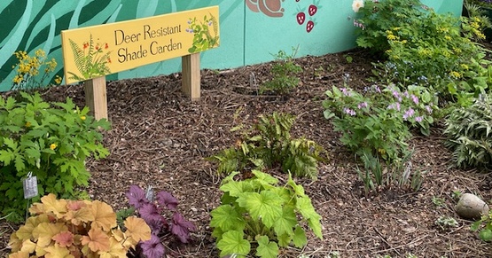 Deer-resistant plants with signage