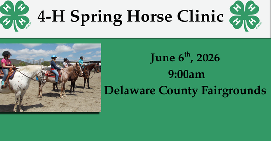 Horse clinic