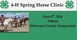 Horse clinic
