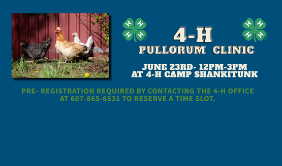 Pullorum Clinic