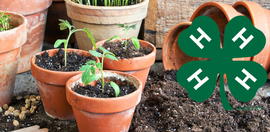 Garden Workshop