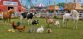 fair info session