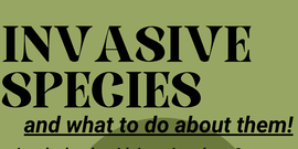 Invasive Species Workshop Flyer 5/13/26