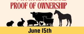 4-H Fair