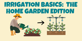 Irrigation Workshop:  Home Gardens Edition