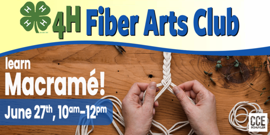 Fiber Arts macrame Banner