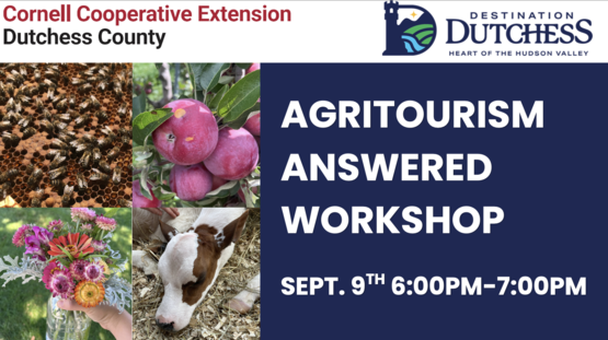 A header that says "Agritourism Answered Workshop" and photos of a cow, a cluster of apples, a bouquet of flowers, and a bee hive. 