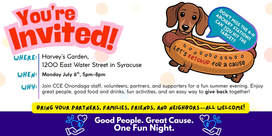 harveys